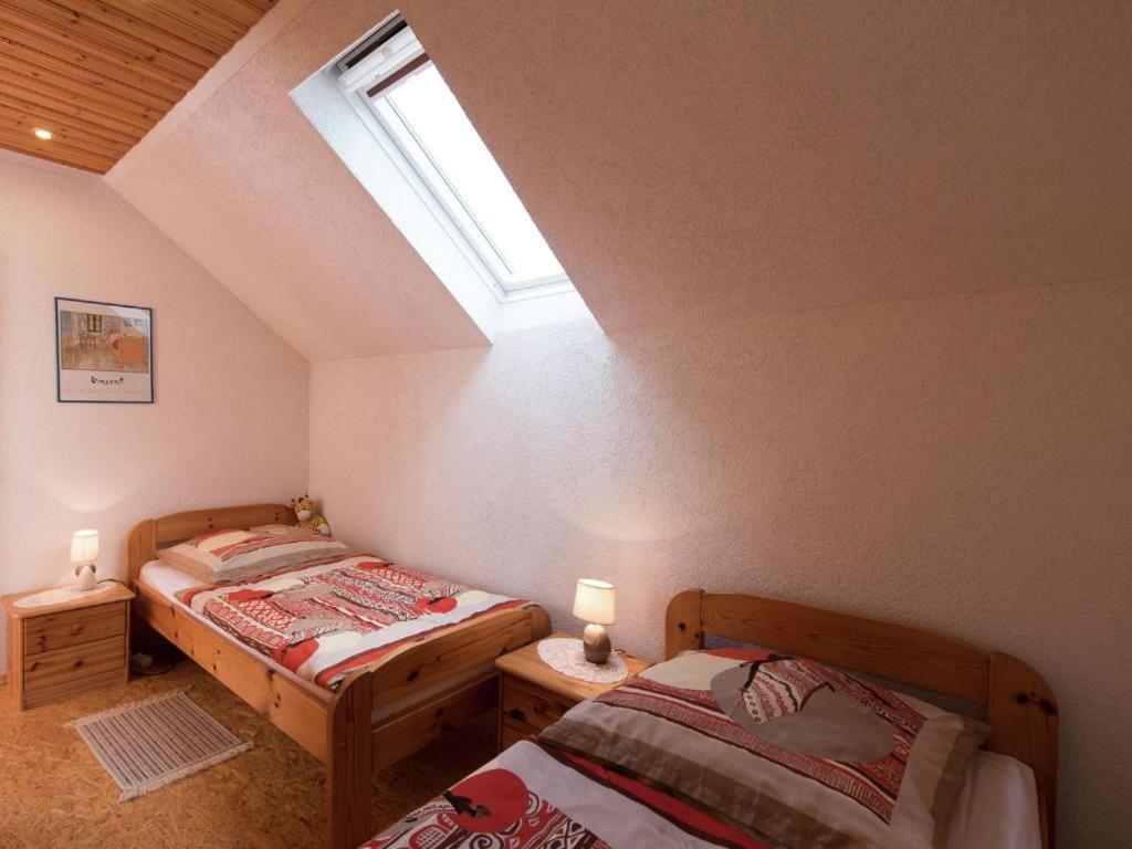 Ferienwohnung Ripa Erzgebirge In Schwarzenberg شفارتسنبرغ المظهر الخارجي الصورة